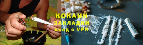 прущие грибы Аркадак