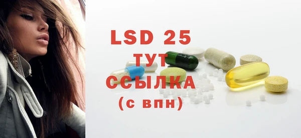 прущие грибы Аркадак