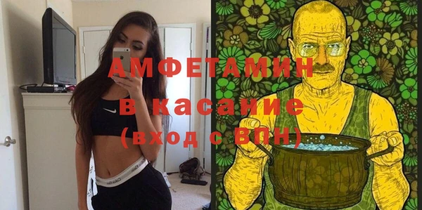 прущие грибы Аркадак
