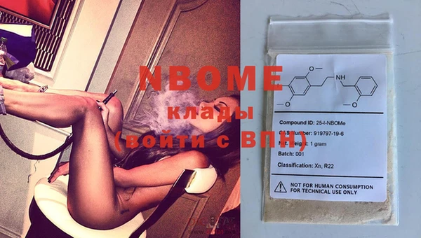 прущие грибы Аркадак