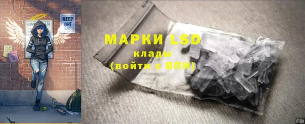 прущие грибы Аркадак