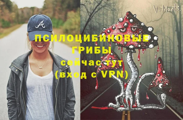 2c-b Армянск