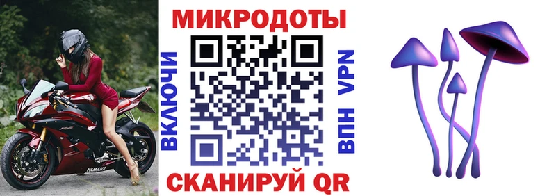 купить наркоту Богучар Псилоцибиновые грибы Psilocybine cubensis